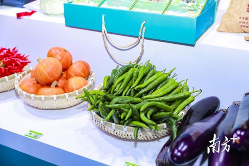 茂南优质土特产热销广东农博会，交易额突破20万元