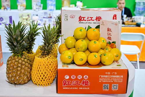 粤品越爱 广东农渔产品香飘两岸，共筑舌尖上的乡情