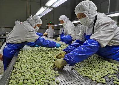 江苏如东 以“三农”经济增长点激活乡村动能 千里沃野开启“美颜”模式