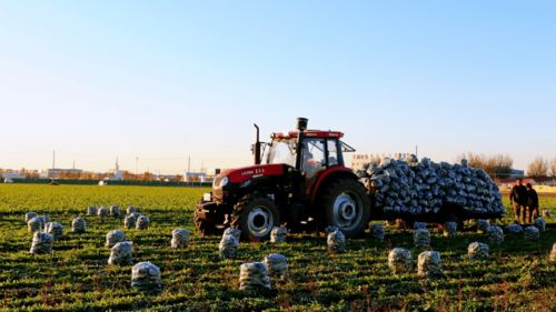 初级农产品补贴力度加码，乡村振兴迎来新动能
