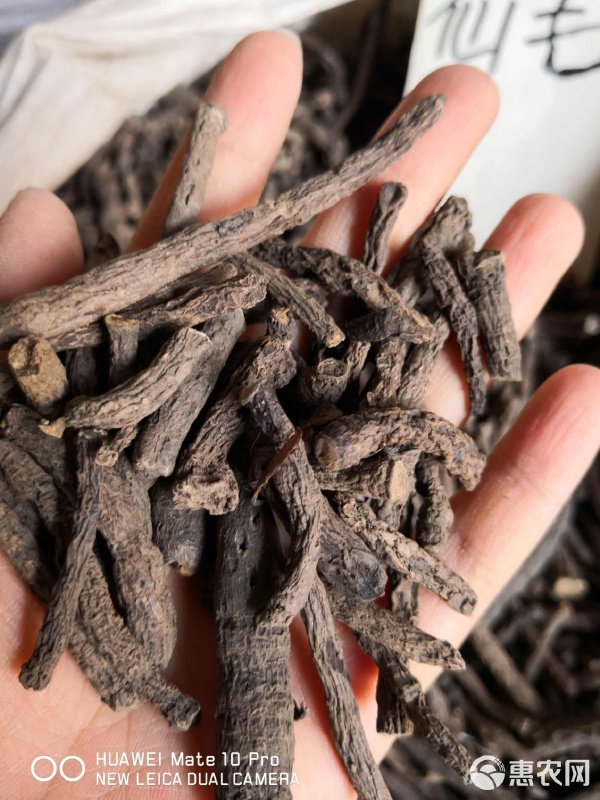 仙茅 优质干货，量大从优，绿色初级农产品