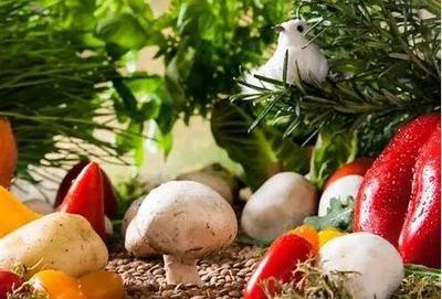 我国初级生鲜农产品供应链的基本模式探讨