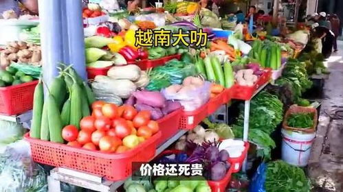 价格劣势致越南农产品出口中国受挫，国际贸易竞争加剧初级农产品挑战